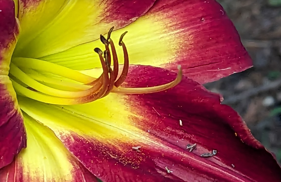 Southwest breeze brings the heat