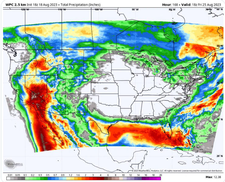 Hilary roars after Don fizzles out