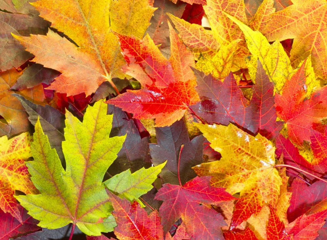 Cooler through midweek