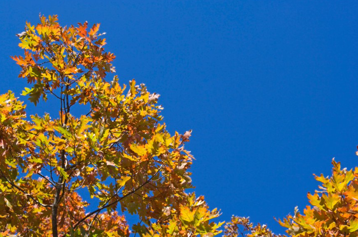 Chilly day to end with lows in the upper 30’s