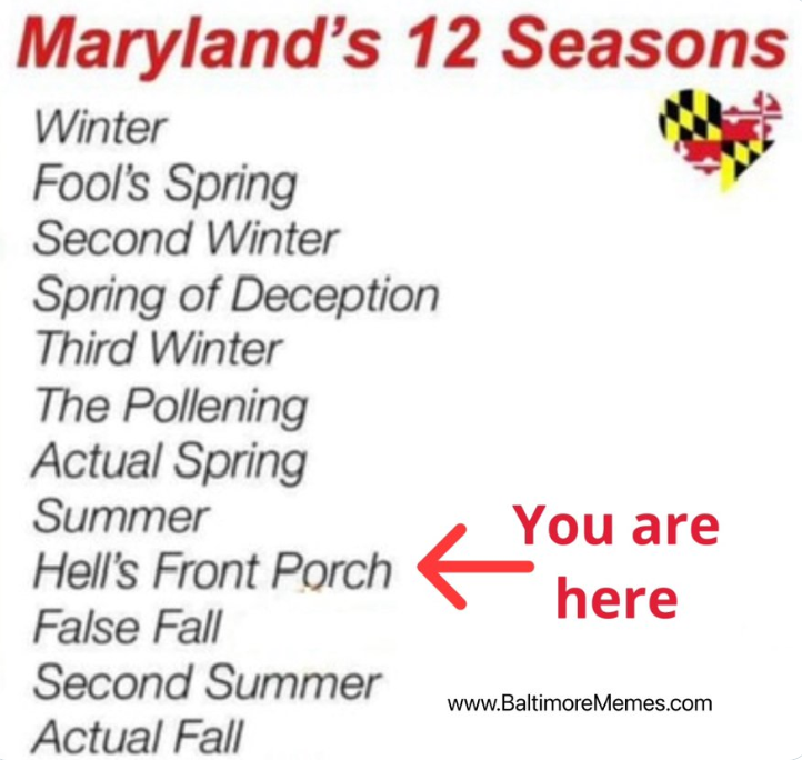 Storms bring drop in humidity