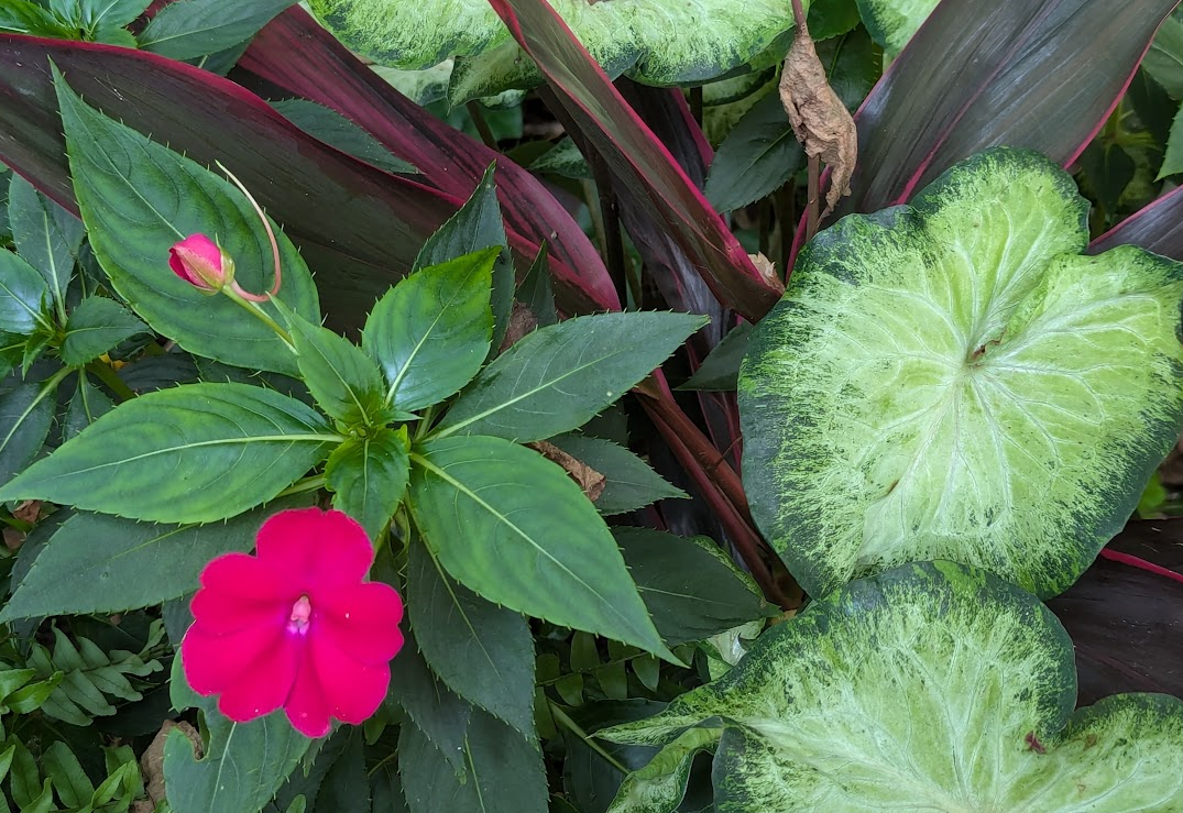 Above average temps return for a day