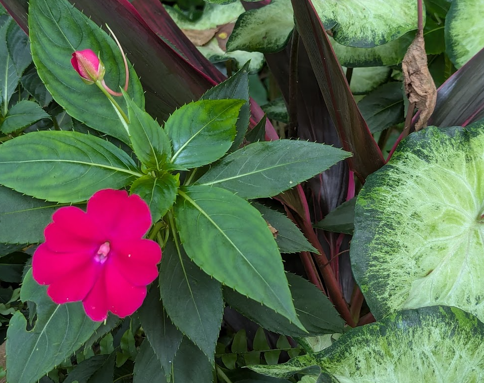 September ends with clouds