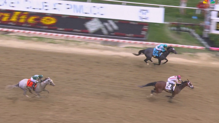 Journalism Rules, Birds Lose