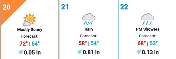 Enjoy today because…