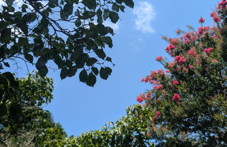 A refreshing weekend