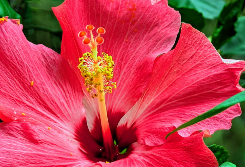 Pleasant temps continue into the weekend