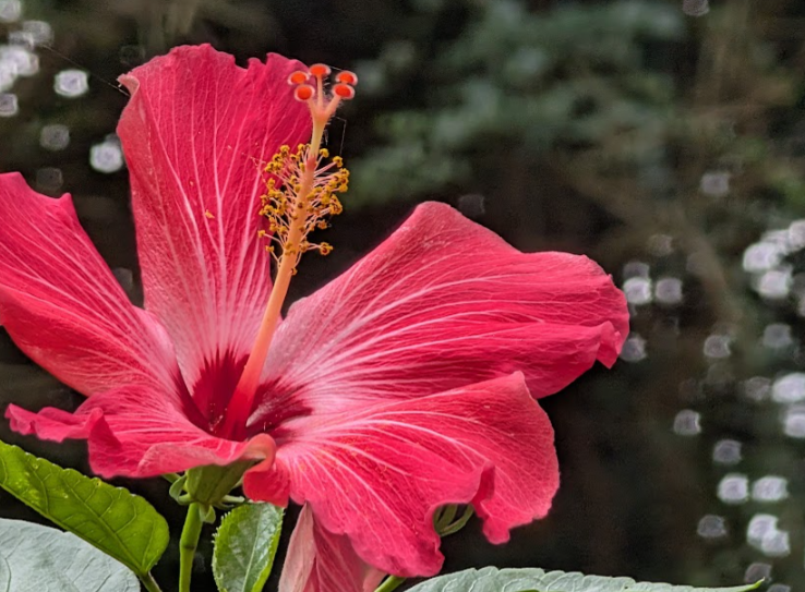 Early fall looks like summer