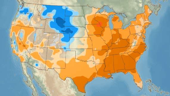 Cloudy and mild with showers late
