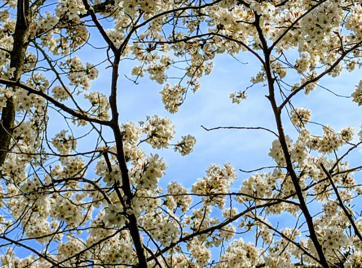 March at its best on its last day